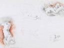 Small_cropped_o000011